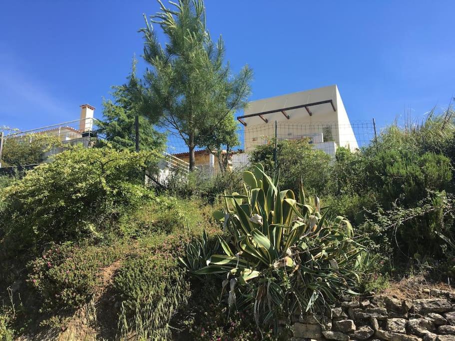 A Casa Da Lua Villa Tomar Bagian luar foto